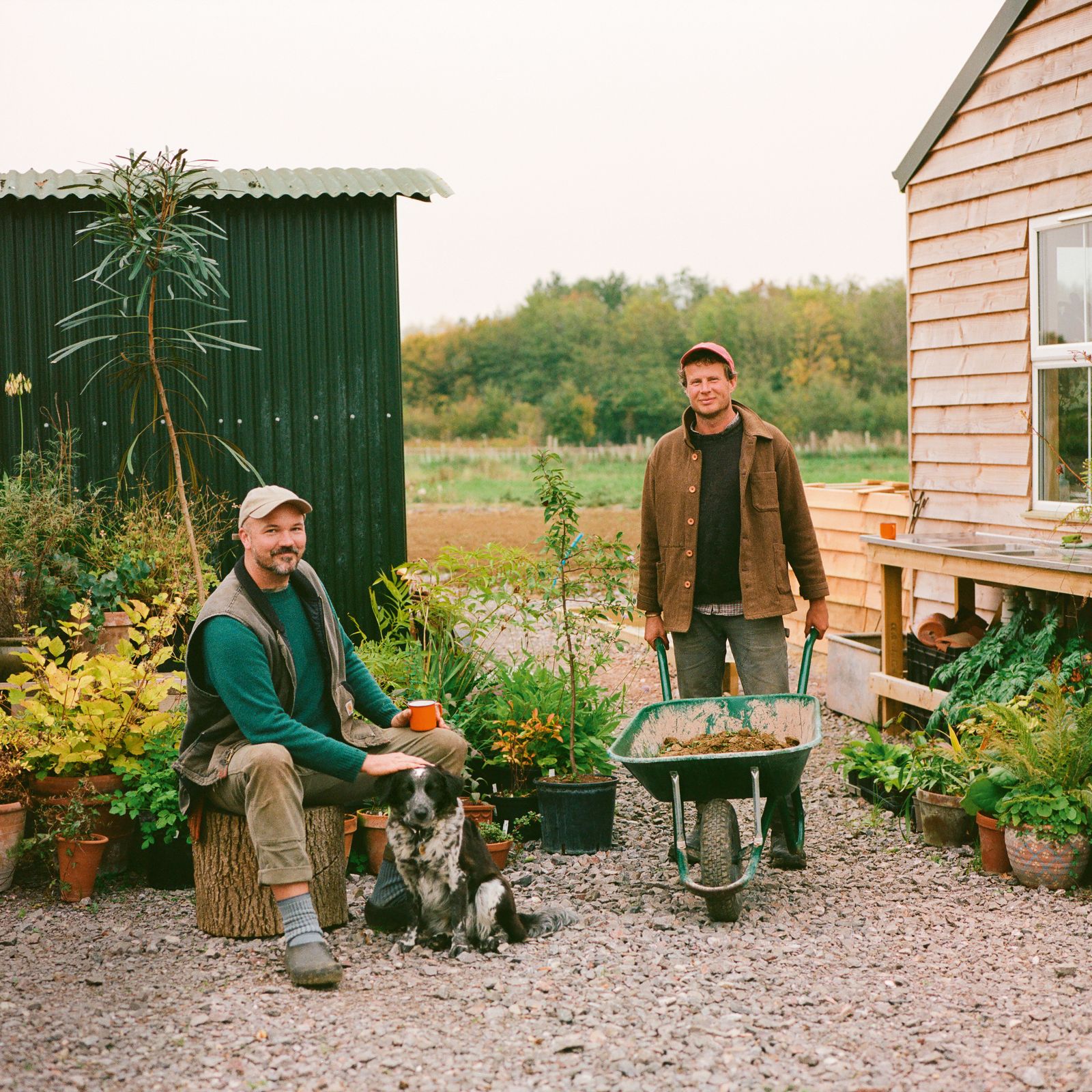 Behind the scenes of a new nursery in The Cotswolds that is bursting with unusual, sustainable plants