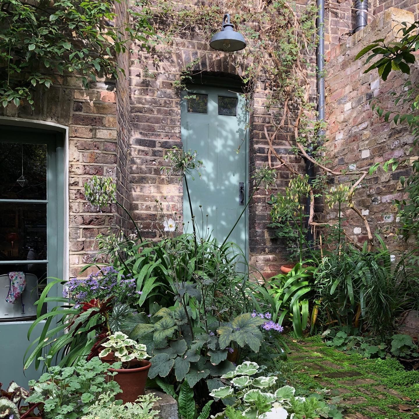 How to garden in a rental