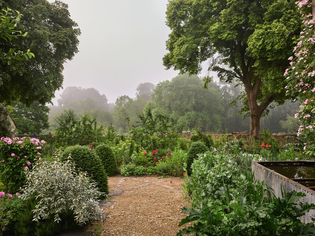 Image may contain Plant Vegetation Garden Nature Outdoors Grass Park Grove Land Tree Woodland Gravel and Road