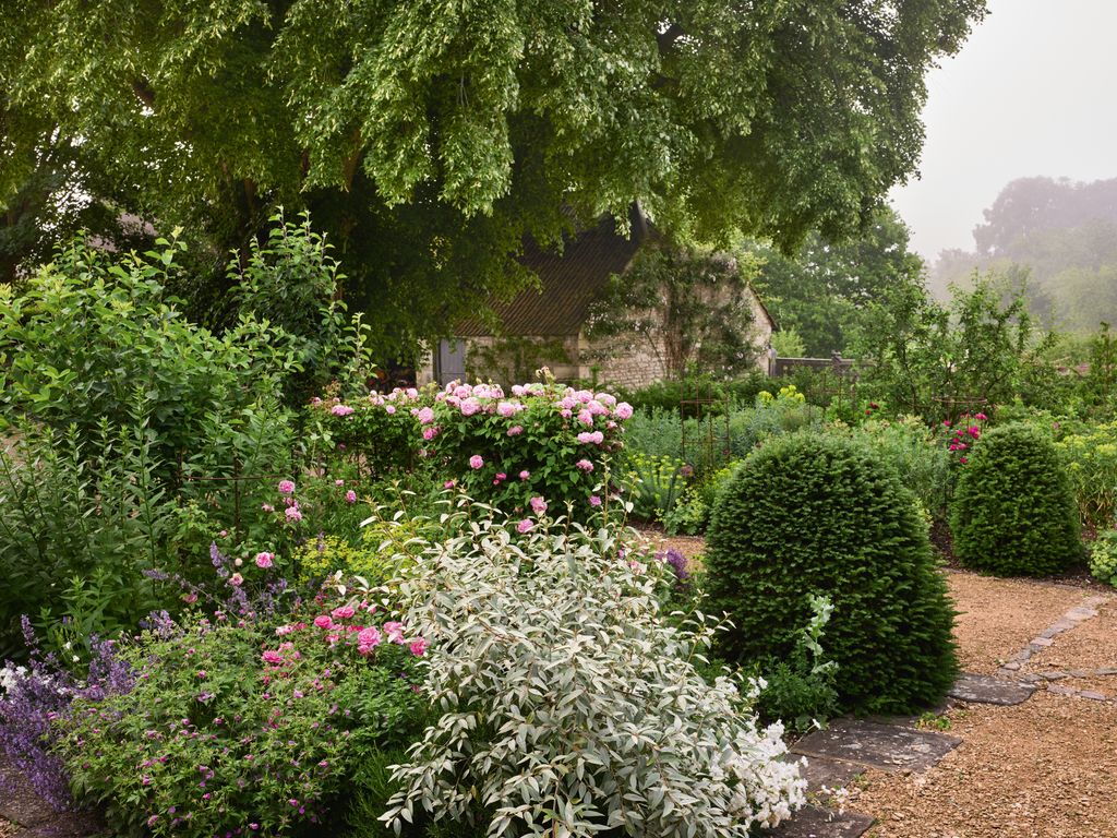Image may contain Garden Nature Outdoors Plant Vegetation Architecture Building Cottage House Housing and Tree