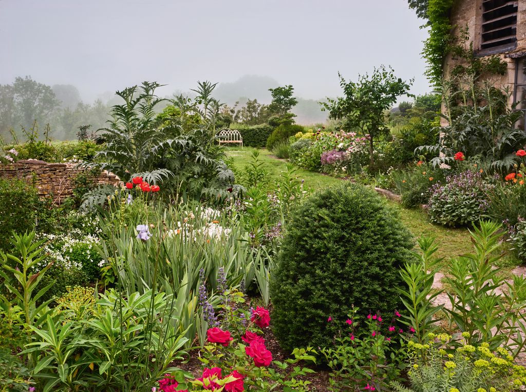 Image may contain Garden Nature Outdoors Grass Park Plant Vegetation Herbal Herbs Tree Flower Backyard and Yard