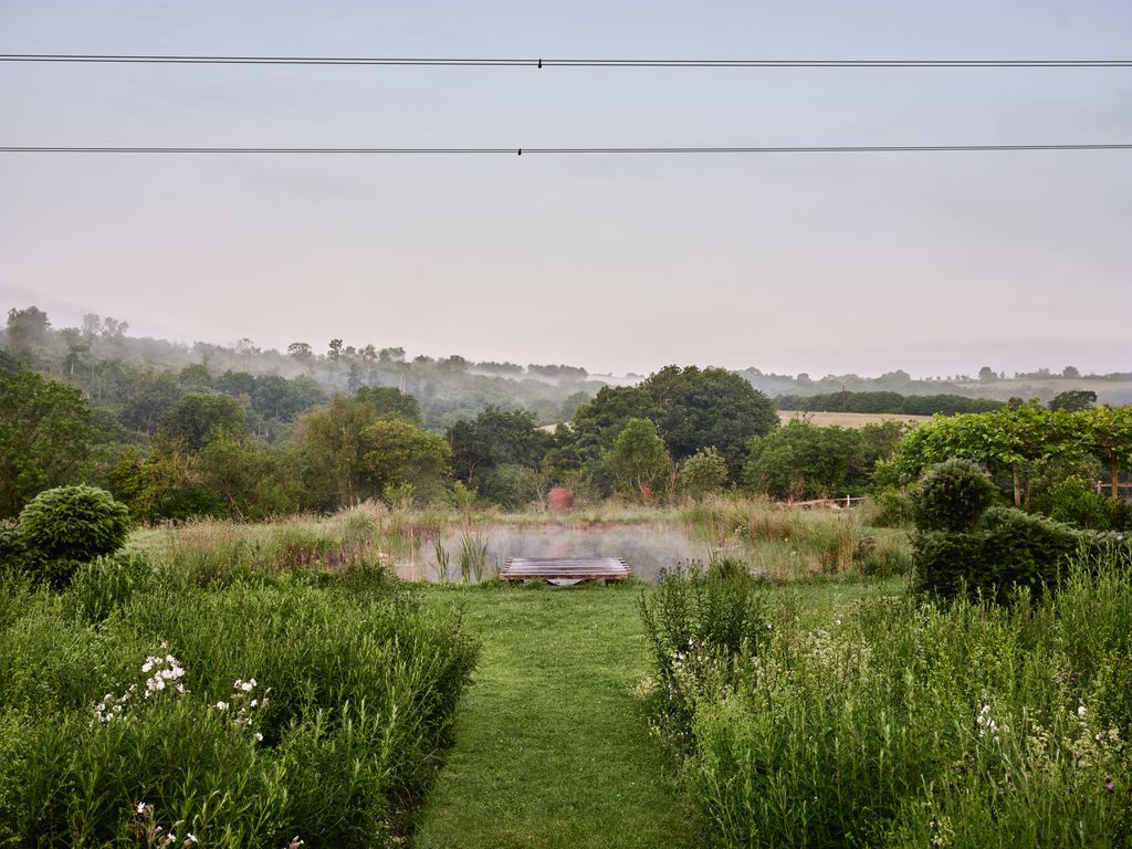 Image may contain Grass Plant Countryside Farm Field Nature Outdoors Pasture Rural Vegetation Land and Tree