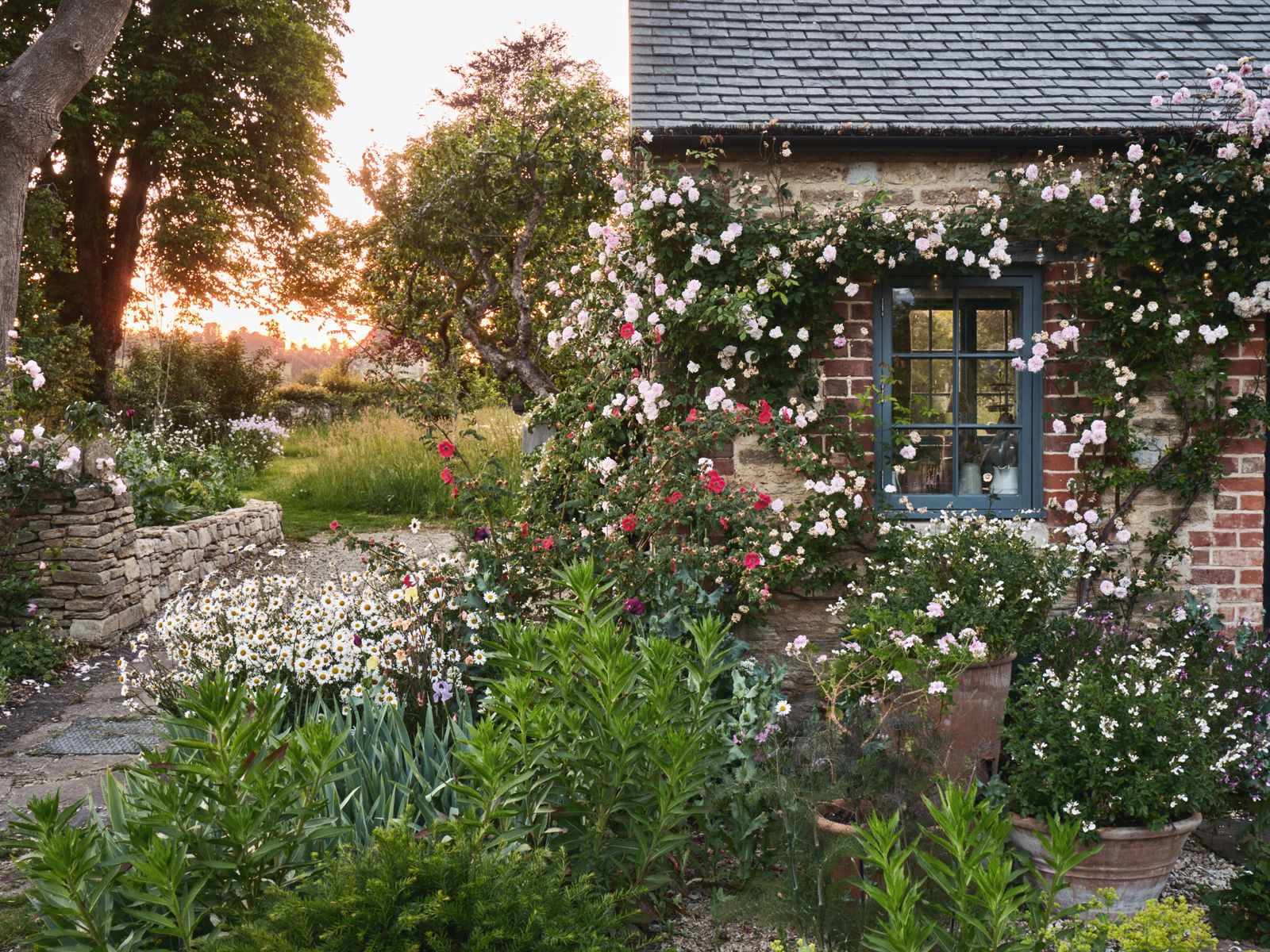 Image may contain Garden Nature Outdoors Architecture Building Cottage House Housing Plant Potted Plant and Herbal