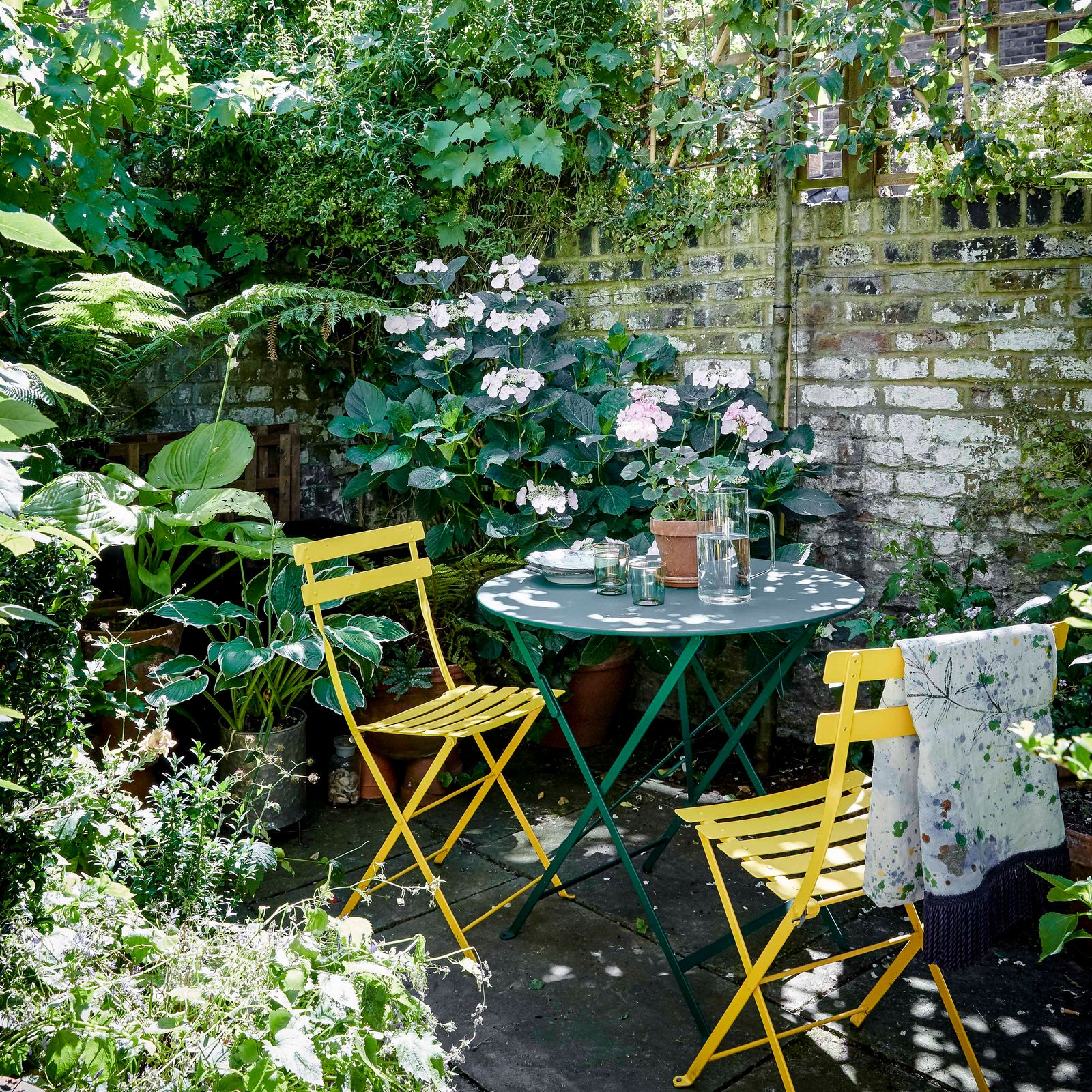 How to garden if you don’t know how to garden