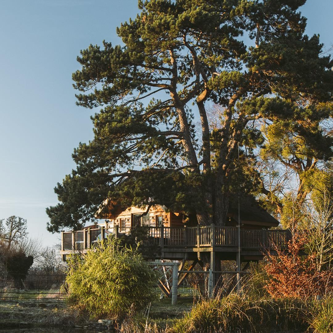 The best treehouses to book for a luxurious UK getaway