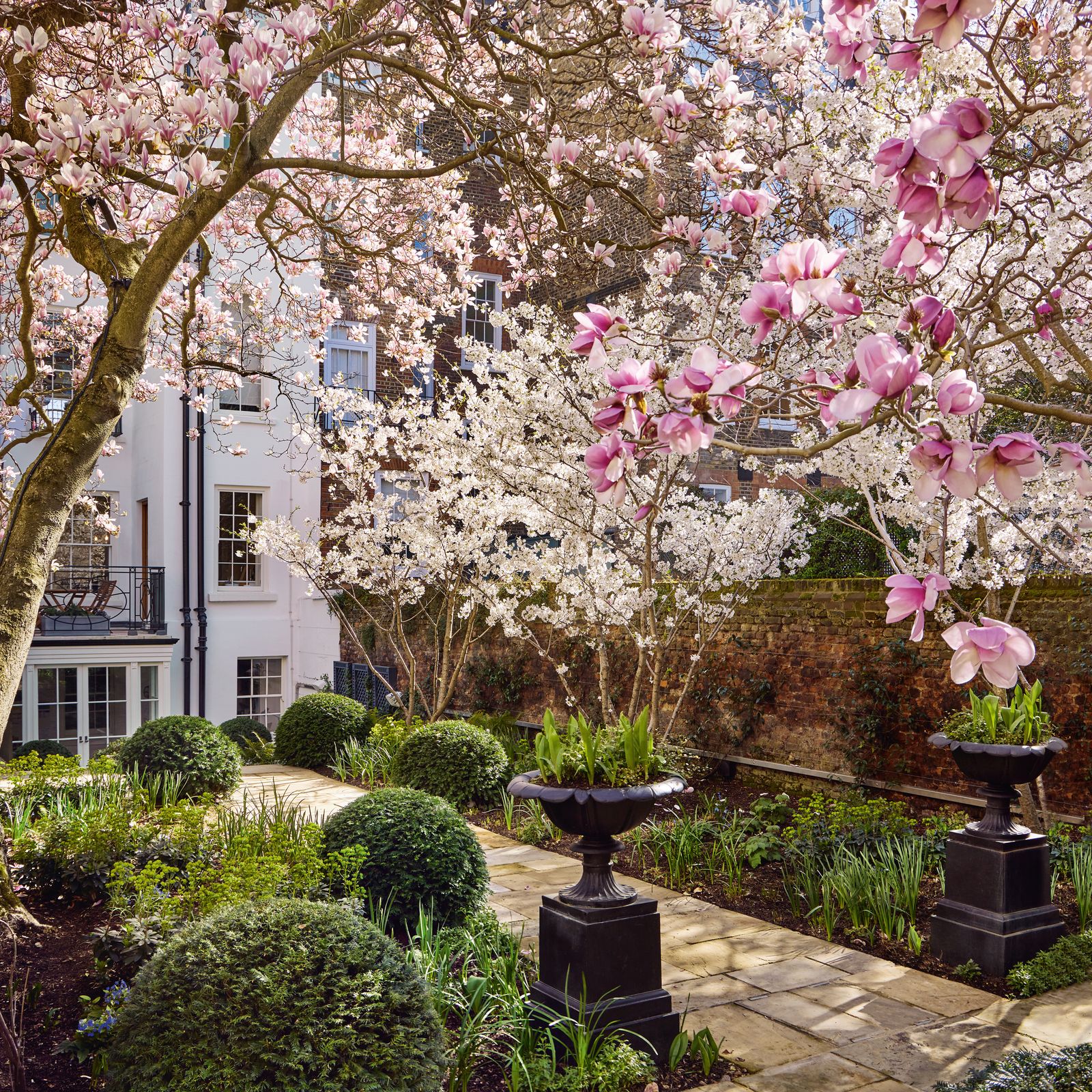 A secret London garden that bursts into life each spring