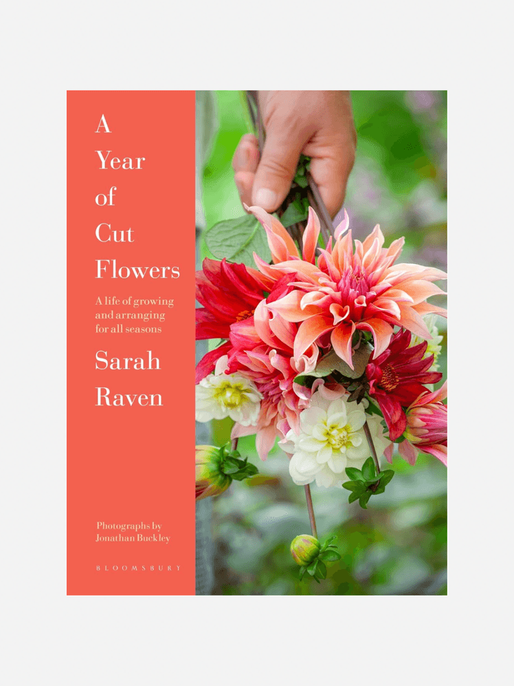 Image may contain Advertisement Poster Dahlia Flower Plant Flower Arrangement Flower Bouquet Baby and Person
