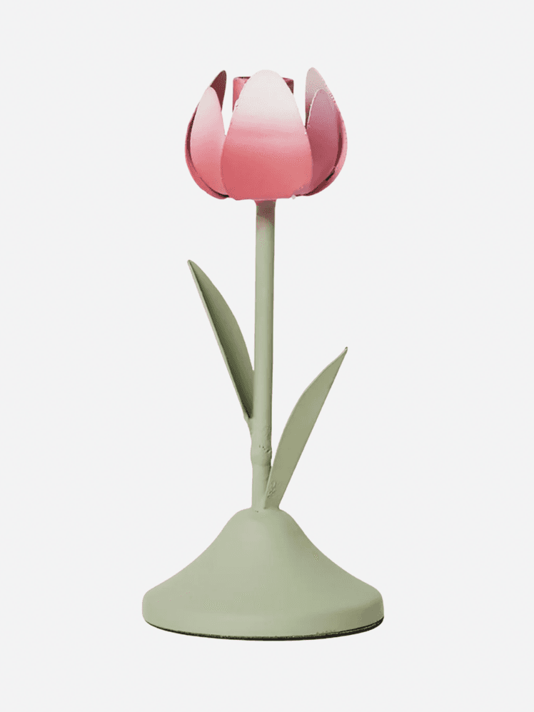 Image may contain Flower Plant Tulip and Lamp
