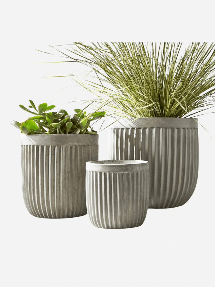 Image may contain: Jar, Plant, Planter, Potted Plant, Pottery, and Vase