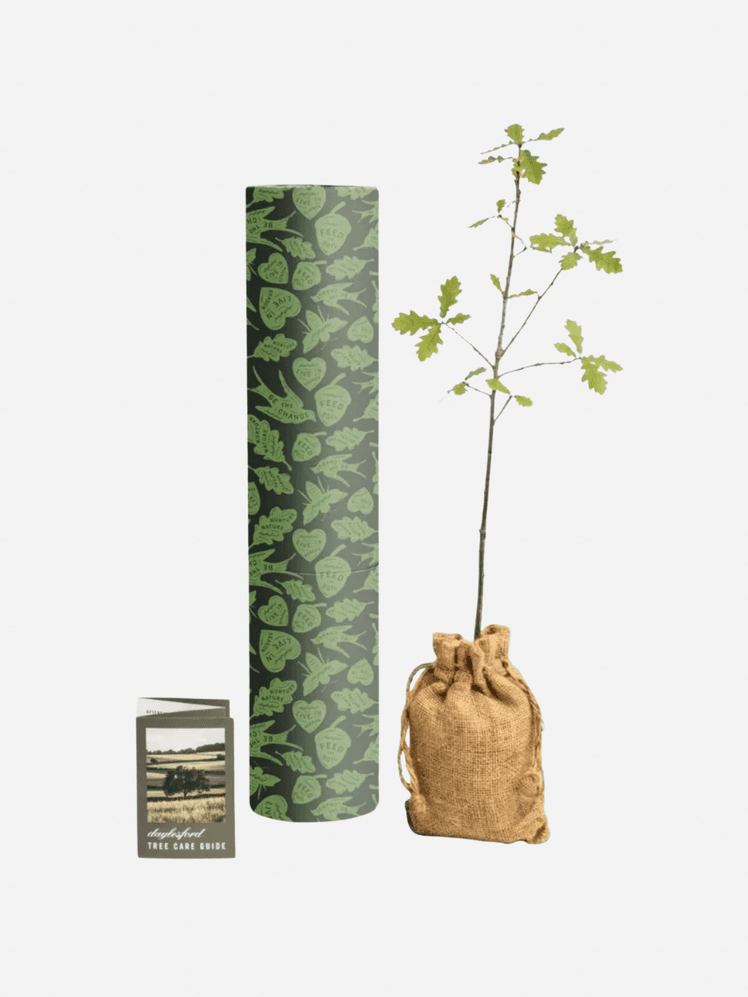 Image may contain Bag Plant Herbal Herbs Accessories Handbag Sack Flower and Flower Arrangement