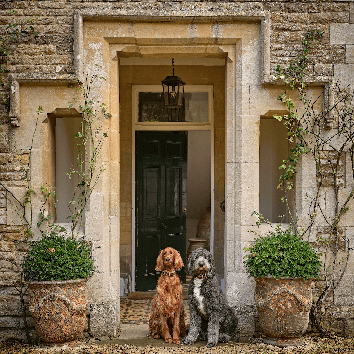An old vicarage in Oxfordshire that is a lesson in contemporary country style