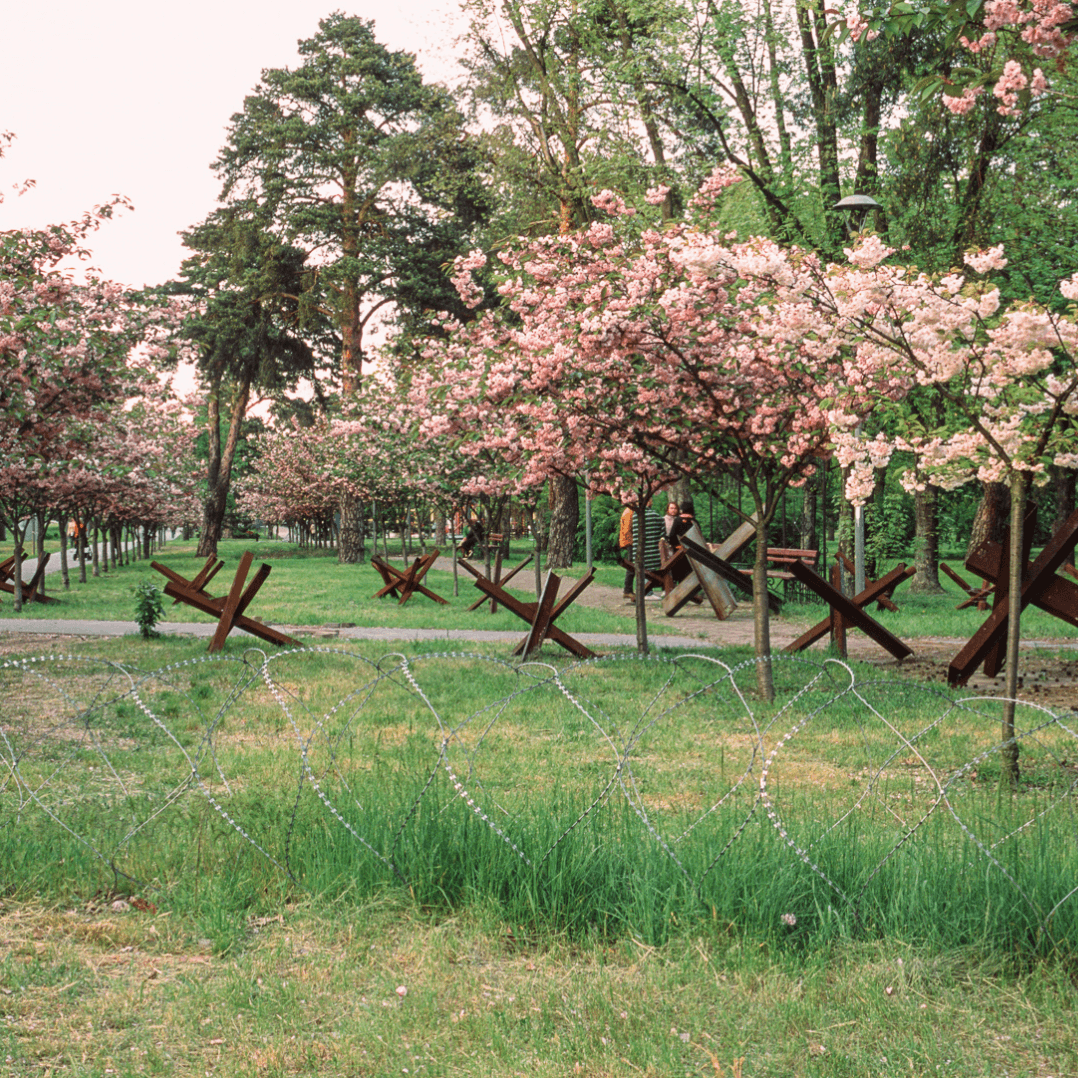 The exceptional Ukrainian gardens that offer hope of new life